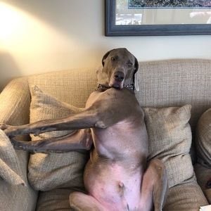 Meet your Posher, Suzanne